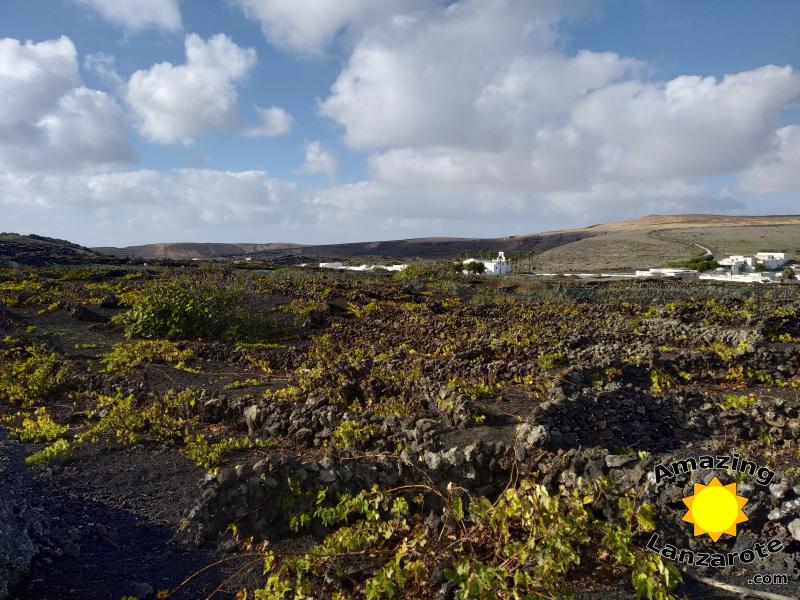 Monte Corona - view fields